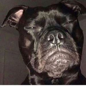 Meet your Posher, Devin